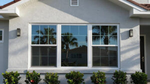 home-windows-with plants-outside